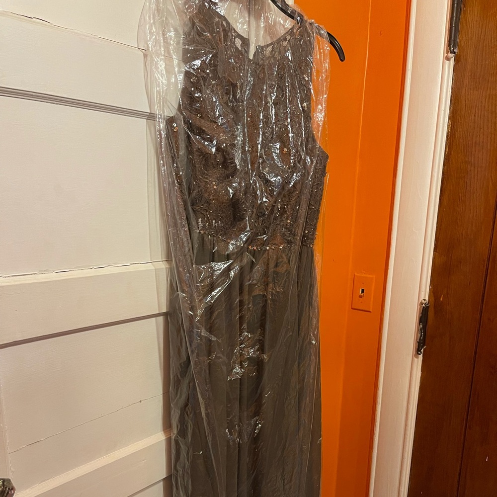 Brand New Adrianna Papell Platinum Floor Length Dress